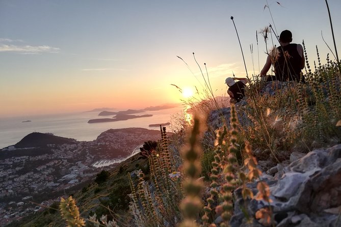 PRIVATE Panorama Sunset Tour in Dubrovnik - Dr. Franjo Tuđman Bridge terrace: bay views, Lapad, and cruise-ship perspective