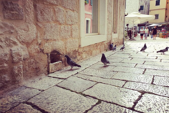 Private Sibenik Walking Historical Morning or Evening Tour - Why this walk works so well in Šibenik