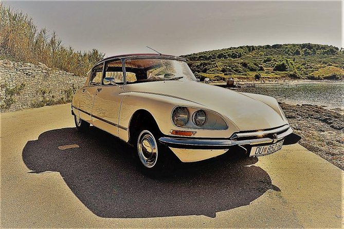 Private Tour of Dubrovnik with Legendary Classic Car Old-Timer - Trsteno: the 50-meter plane tree and orientation outside the crowds