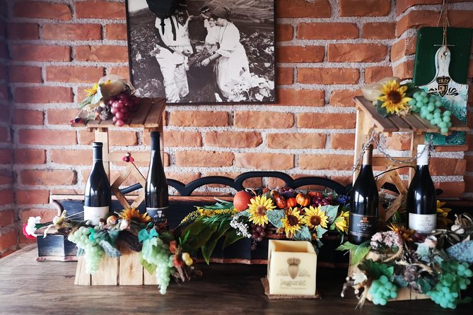Private Wine Tour from Zagreb: Two Local Wineries & Samobor - Your guide and vehicle setup, from 4-person car to 8-person minivan