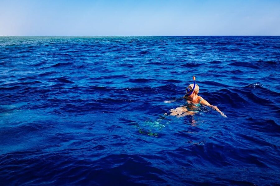 Pula: 2.5-Hour Snorkelling Experience - Key Things You’ll Notice Right Away