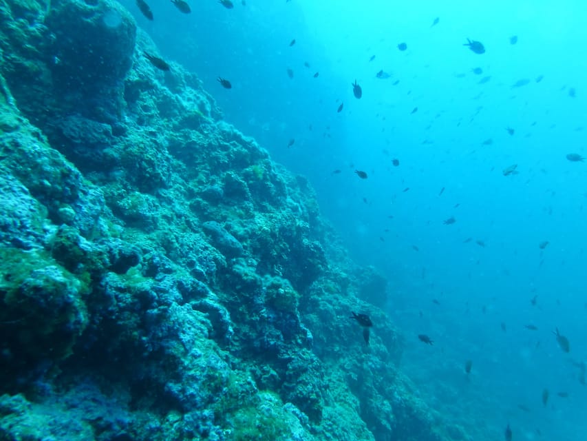 Pula: 2.5-Hour Snorkelling Experience - Price and Value: Is $47 Fair for 2.5 Hours?