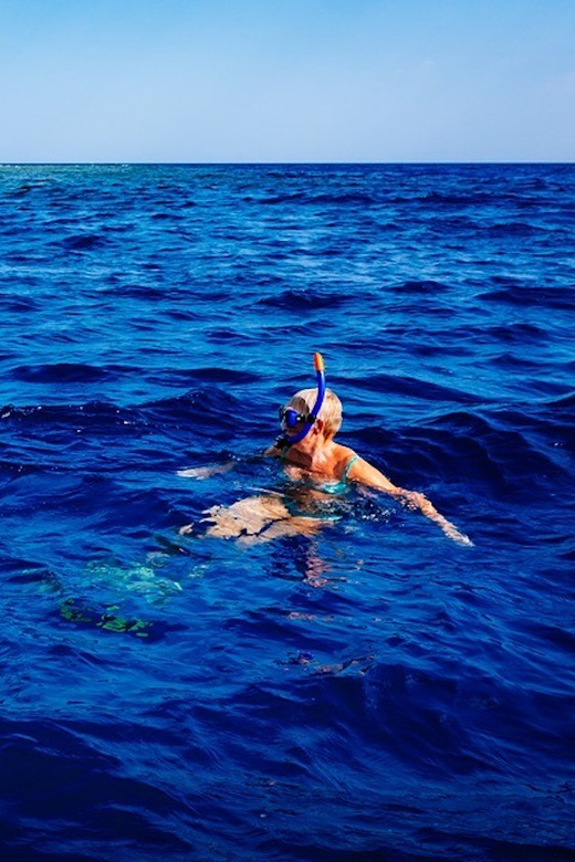 Pula: 2.5-Hour Snorkelling Experience - Getting to Verudela: Finding Orca Pula by Hotel Park Plaza Histria