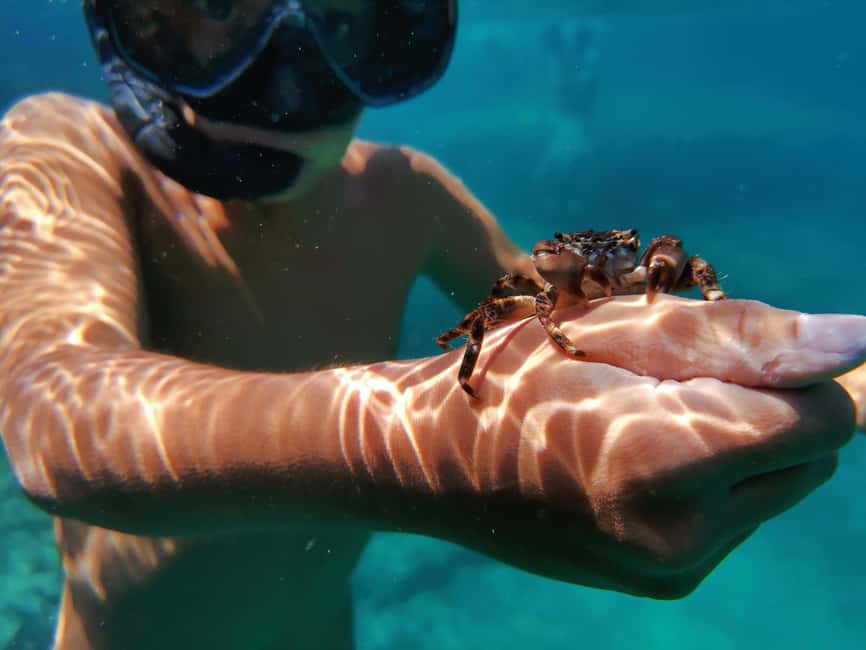 Pula Adventure: Snorkeling Boat Trip & Cliff Jumping - Why Pula’s coast is built for snorkeling