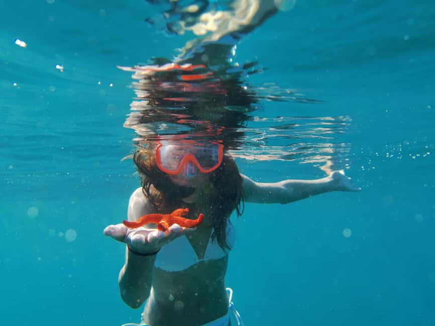 Pula Adventure: Snorkeling Boat Trip & Cliff Jumping - What you might see under the surface (and how to spot it)