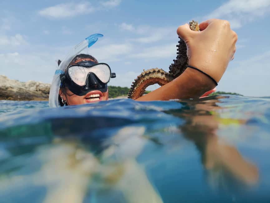 Pula Adventure: Snorkeling Boat Trip & Cliff Jumping - The scenic cruise: rocky shoreline views you’ll actually notice