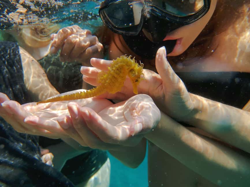 Pula Adventure: Snorkeling Boat Trip & Cliff Jumping - Who this trip is best for