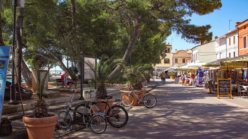 Pula: All-Inclusive Brijuni Boat Tour w Lunch, Drinks & Swim - Fažana swim stop with 2 hours of freedom