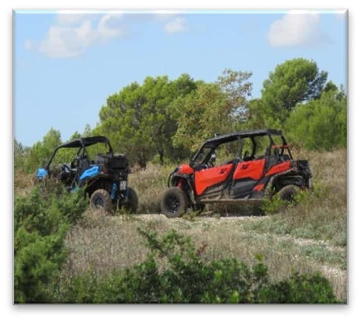 PULA AND ROVINJ: BUGGY FAMILY SAFARI 1, 2, 2.5 & 4 H - The Driving Setup: four-seaters, controls, and the off-road mix