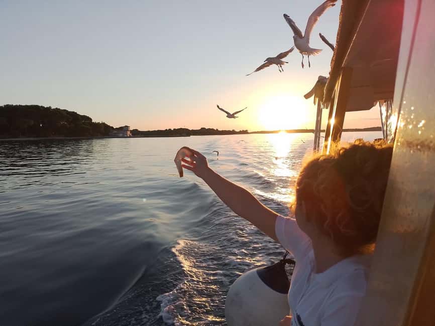 Pula: Brijuni National Park Dolphin Watching Tour w/Dinner - Should you book it or look for another option?