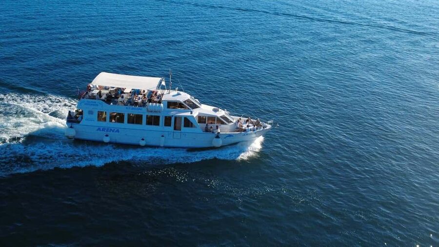 Pula: Brijuni National Park Dolphin Watching Tour w/Dinner - Dolphin watching at dusk around Brijuni: what to expect and how to position yourself