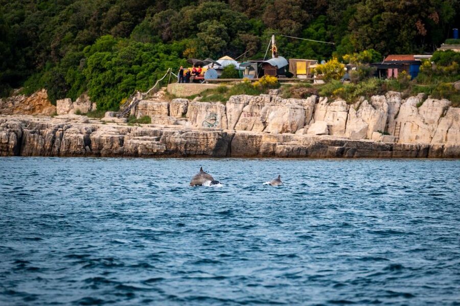 Pula: Brijuni National Park Sunset, Dolphins & Dinner Cruise - Where the tour starts near Tito’s Park