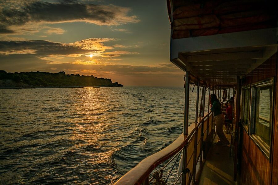 Pula: Brijuni National Park Sunset, Dolphins & Dinner Cruise - Dolphin watching in real life: what to expect and how to spot them