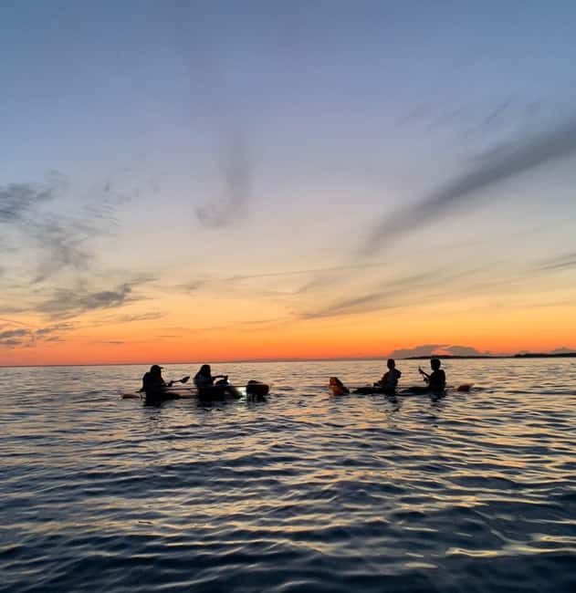 Pula: Cave Sunset/Night Tour in Transparent Kayak - Caves, coves, and wildlife: what to expect along the route