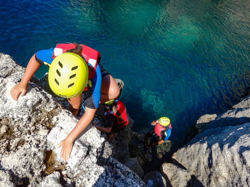 Pula: Coasteering Adventure with Guide and Photos - Wildlife in the Intertidal Zone: Crabs, Tiny Fish, Sea Cucumbers