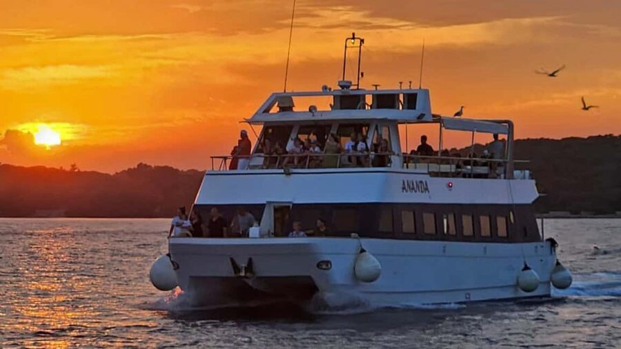 Pula: Dolphin Sunset Cruise to Brijuni with Dinner & Drinks - Key Things I’d Book This For