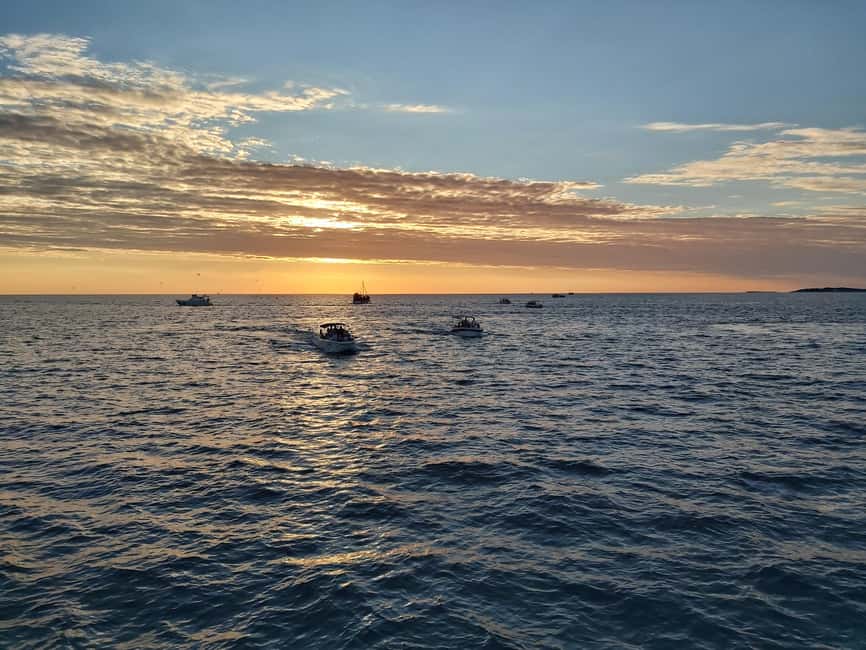 Pula: Dolphin Sunset Cruise to Brijuni with Dinner & Drinks - Finding the Ananda in Pula, without turning it into a scavenger hunt