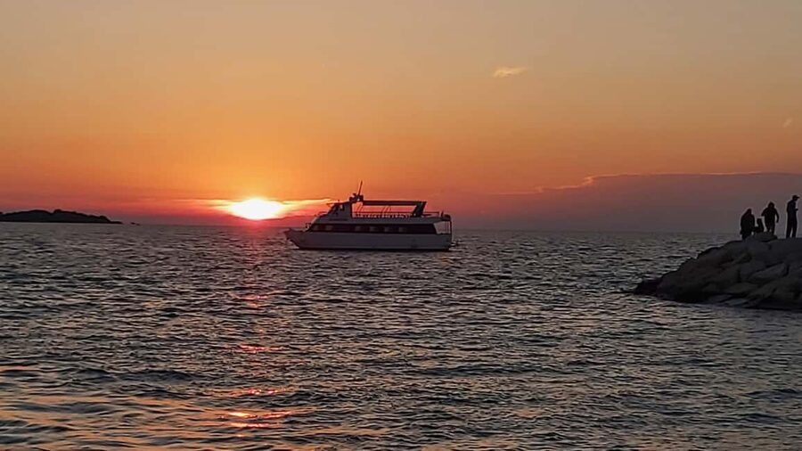Pula: Dolphin Sunset Cruise to Brijuni with Dinner & Drinks - Dolphin safari reality: the chance is high, but nature is still nature