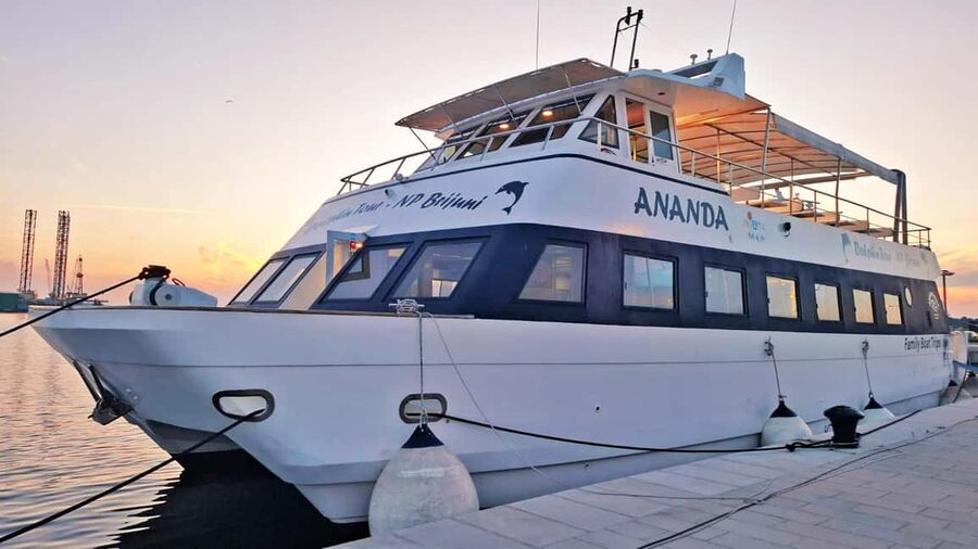 Pula: Dolphin Sunset Cruise to Brijuni with Dinner & Drinks - Getting the best seats and better dolphin moments