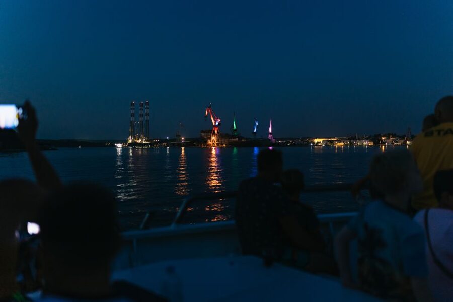 Pula: Dolphin Watching in Brijuni Park with Dinner & Drinks - Dolphin watching in the real world: how spotting usually happens