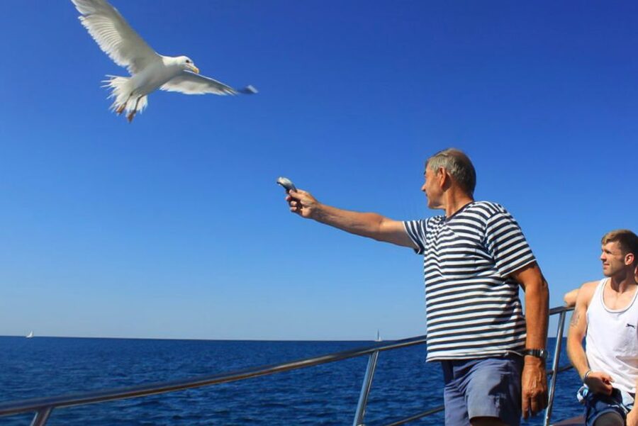 Pula: Dolphin Watching Sunset Cruise with Dinner & Drinks - Brijuni National Park Views You Can Actually Enjoy