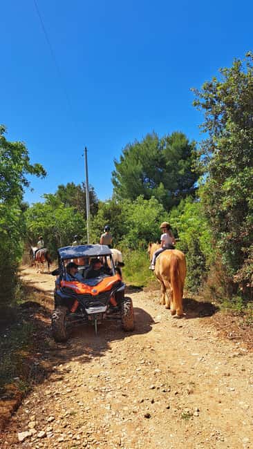 Pula: Family Buggy 4-seater 2.5h Kamenjak Tour & Safari Bar - Cape Kamenjak by buggy: what makes this ride special