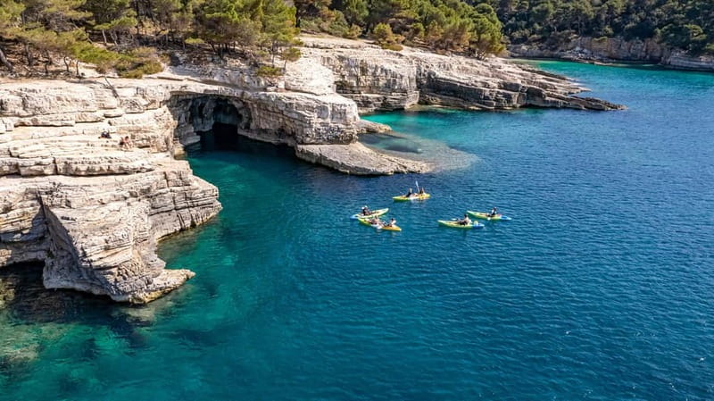 Pula: Half-Day Kayak, Cliff, and Cave Tour - Snorkeling and sea life: clarity you can actually use