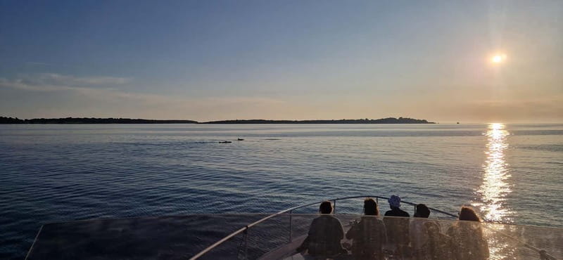 Pula: Half or Full day boat tour on yacht with skipper - Drinks, BBQ, and the food question you should plan for