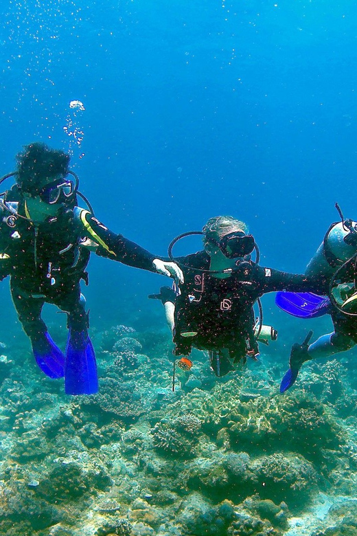 Pula: Introduction to Scuba Diving - Should You Book This Intro Course in Pula?