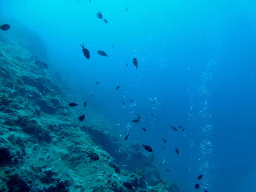 Pula: Introduction to Scuba Diving - Price and Value: Does $100 Add Up?