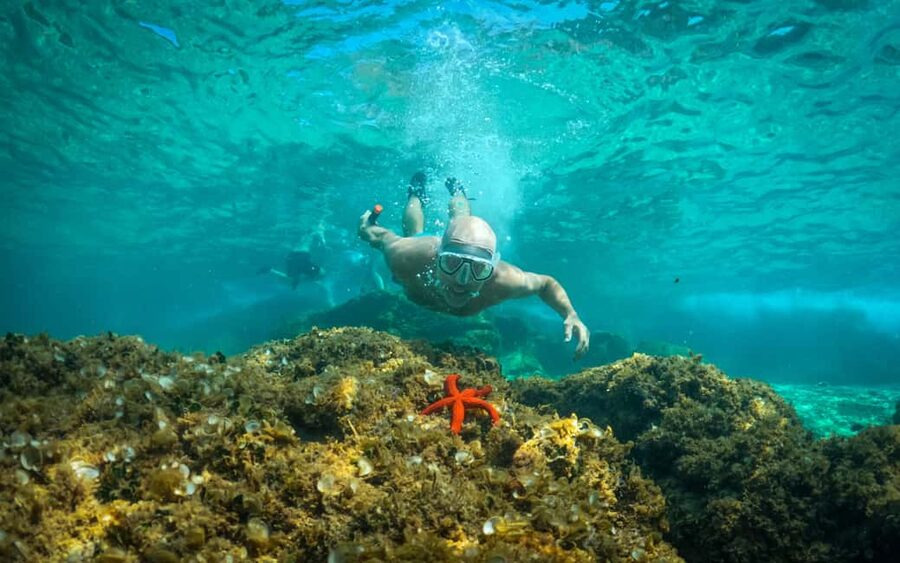 Pula: Kayaking, Snorkeling, Cliff jumping, photos included - Snorkeling stops that feel real, not just a photo break