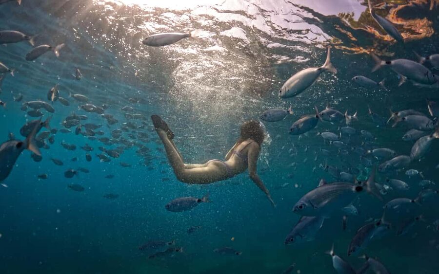 Pula: Kayaking, Snorkeling, Cliff jumping, photos included - Timing in Pula: when the water feels best