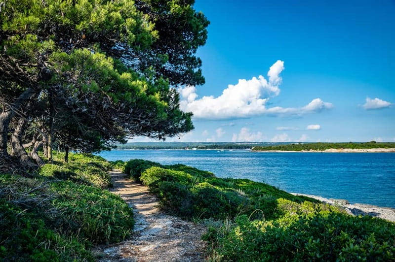 Pula: National Park Brijuni, 2 swimming stops, lunch, drinks - Key highlights on this Brijuni boat day