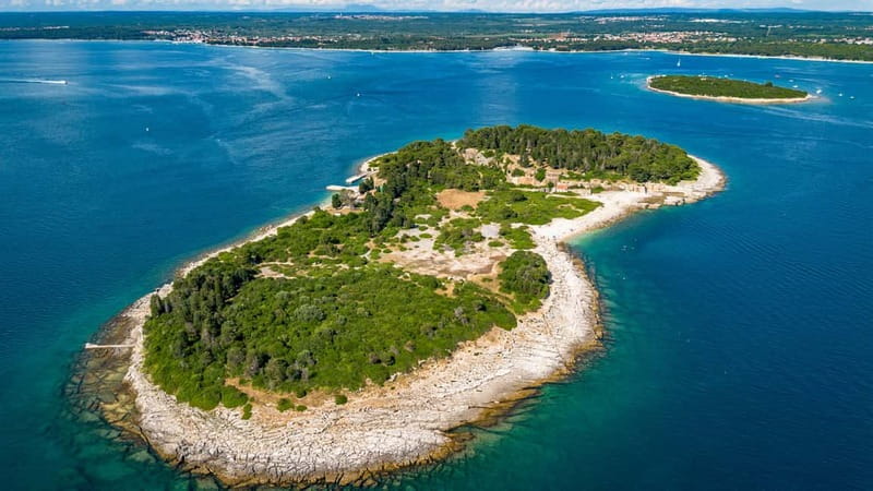 Pula: National Park Brijuni, 2 swimming stops, lunch, drinks - Your first water break: swim, jump, and snorkel from the boat