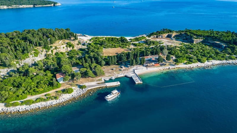 Pula: National Park Brijuni, 2 swimming stops, lunch, drinks - Panoramic views, possible dolphin sightings, and weather flexibility
