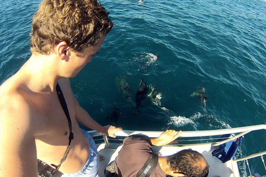 Pula: National Park Brijuni Dolphin Cruise with Dinner - Languages and guide style: what you can expect on board