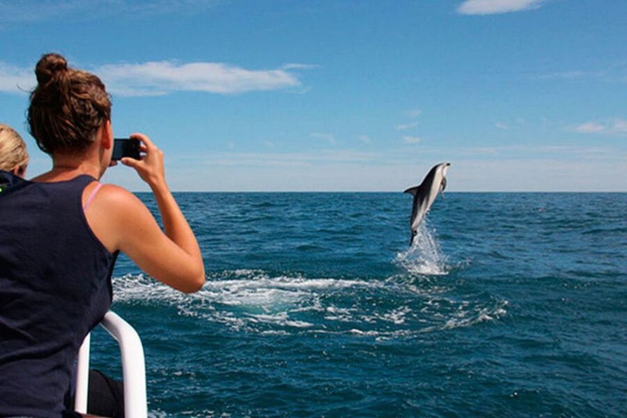 Pula: National Park Brijuni Dolphin Cruise with Dinner - Getting onto the ship: boarding starts 30 minutes early