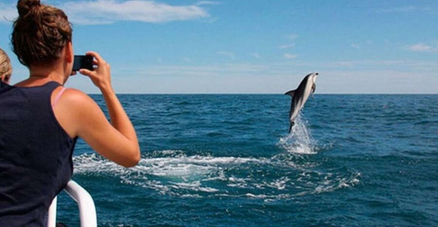 Pula: National Park Brijuni Island Visit & Dolphin Cruise - Sveti Jerolim: the 2 to 2.5 hour beach-and-snorkel break