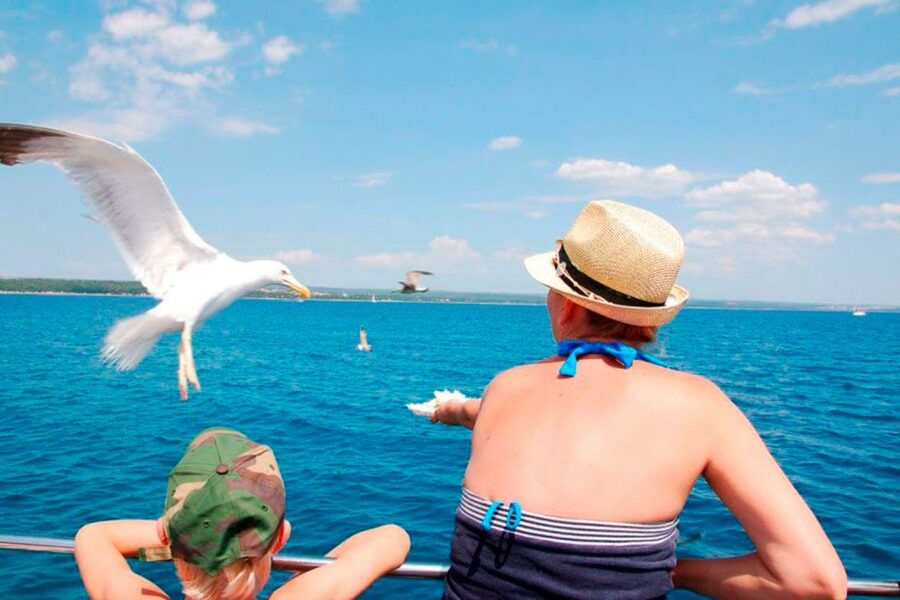 Pula: National Park Brijuni Island Visit & Dolphin Cruise - Unlimited white wine and onboard comfort: what it’s like in practice