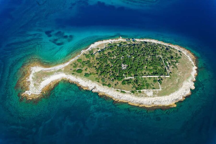 Pula: Private Brijuni Tour With Swimming, Dinner & Drinks - Drinks, Snacks, and the Family-Run Hosting Touch