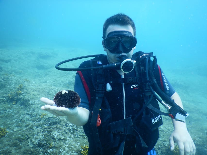 Pula: Private Introduction to Scuba Diving - Who This Private Try Session in Pula Is Best For