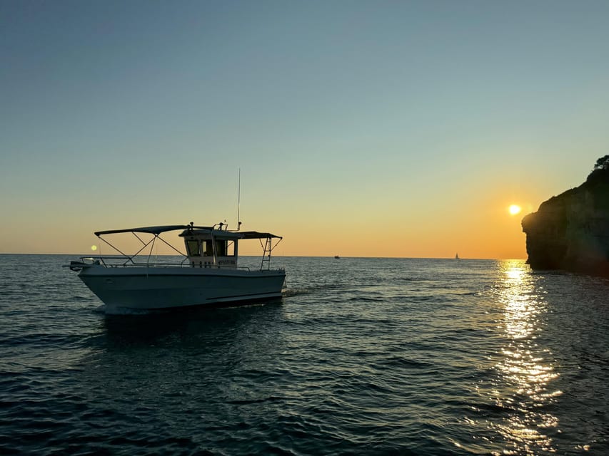Pula: Sunset Dolphin Watching Boat Tour around N.P Brijuni - Price and value: does $41 make sense for a private Brijuni sunset cruise?
