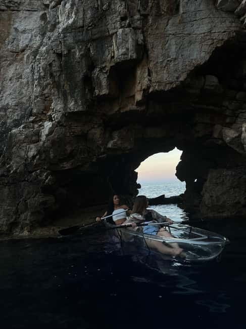 Pula: Sunset/Night Illuminated Transparent Kayak Tour - Wildlife you might spot under the transparent hull