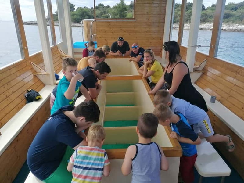 Pula Verudela: Glass-Bottom Boat and Swim with Fish Tour - Glass-bottom views from Port Bunarina, the kind you can’t fake