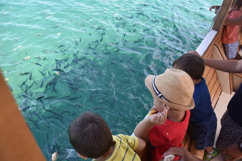 Pula Verudela: Glass-Bottom Boat and Swim with Fish Tour - The swim stop: clear turquoise water and fish close by