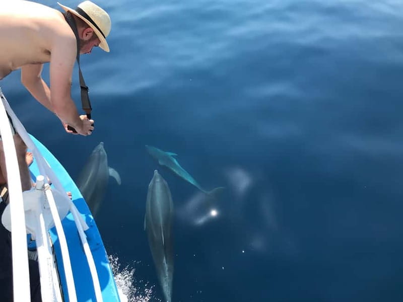 Punat: Grgur, Goli, Rab, and Krk Island Boat Trip with Lunch - Krk Island Anchors Near Wild Beaches, Then You Jump