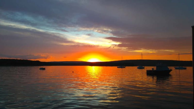 Punat: Stara Baška Wild Bays Private trip - Skipper Gaspar’s know-how: flora, fauna, and island history