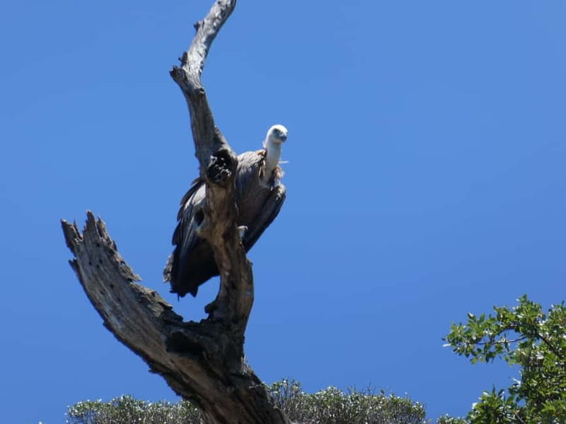 Punat: Stara Baška Wild Bays Private trip - Planning your day: how to protect the best water time