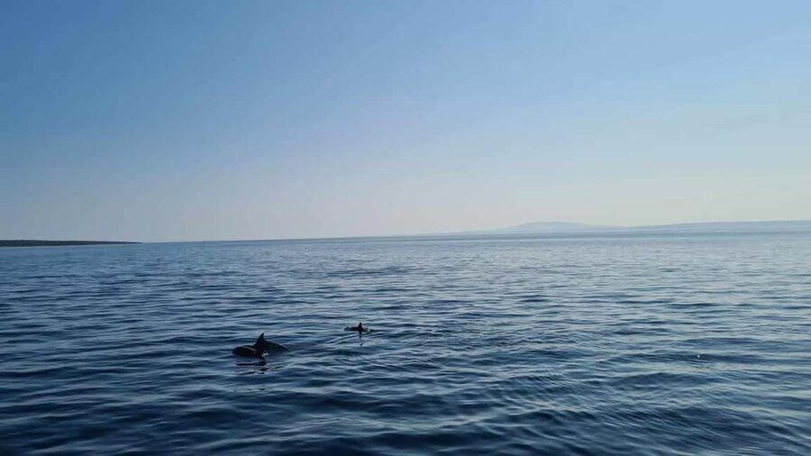 Rab: Zavratnica, Goli Otok and Sveti Grgur Boat Tour - A 9-hour boat day from Rab, with swimming built in