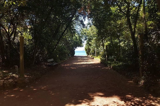 Rent a speed boat and explore beaches and coves of Elaphiti Islands - Šipan Island and Suđurađ: Olive Trees, Villas, and a Working Fisherman Port